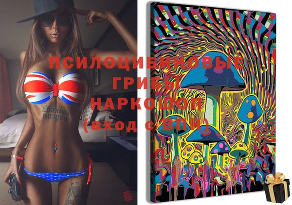 спайс Алексеевка