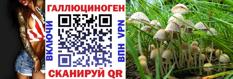 где найти kraken ONION Псилоцибиновые грибы мухоморы Кемь